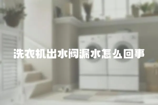 洗衣機出水閥漏水怎么回事