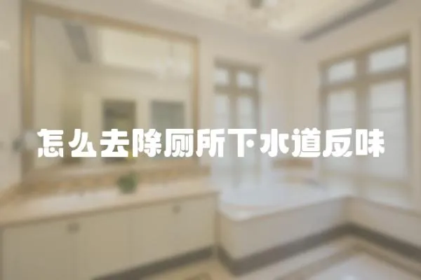 怎么去除廁所下水道反味