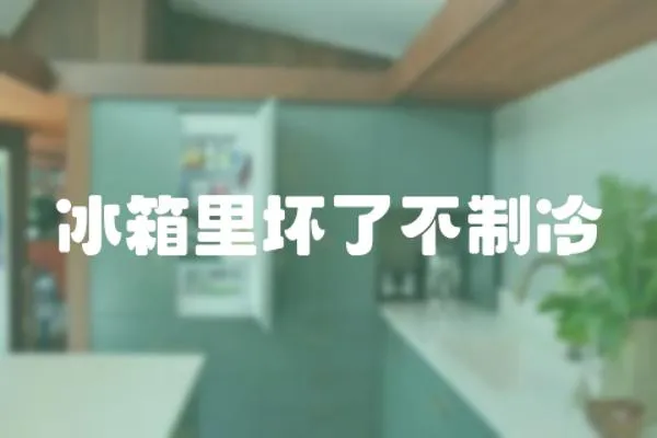 冰箱里壞了不制冷