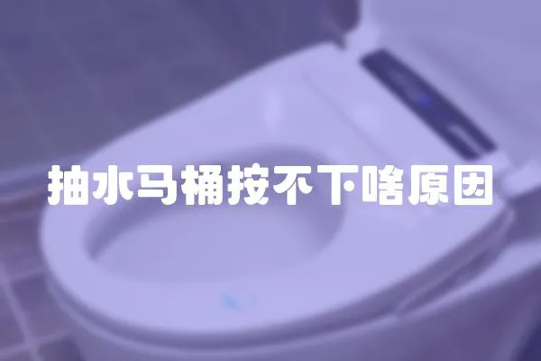 抽水馬桶按不下啥原因