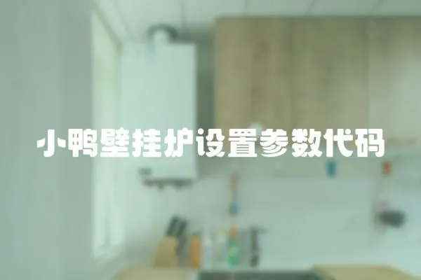 小鴨壁掛爐設(shè)置參數(shù)代碼