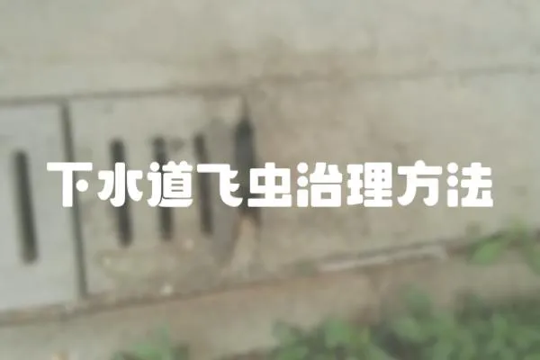下水道飛蟲治理方法
