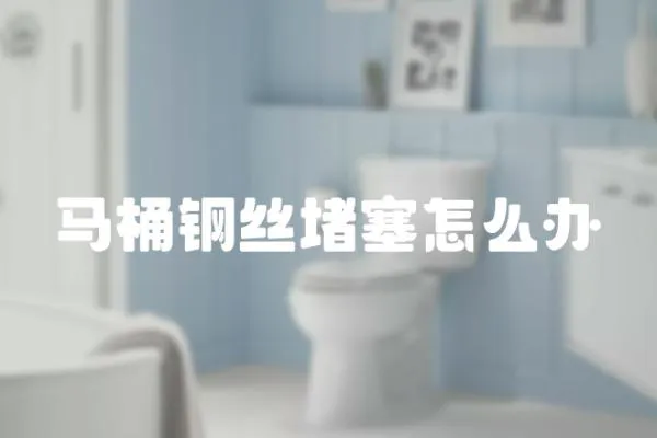 馬桶鋼絲堵塞怎么辦