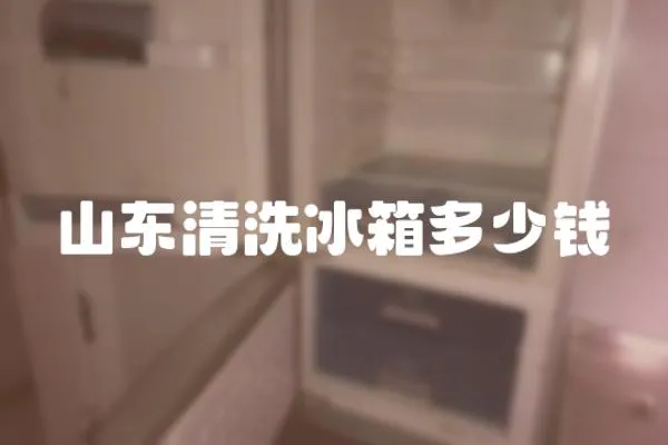 山東清洗冰箱多少錢