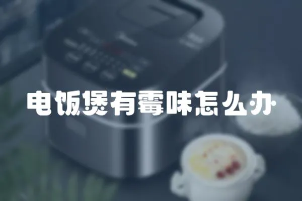 電飯煲有霉味怎么辦