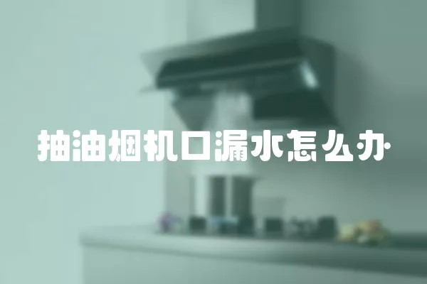 抽油煙機口漏水怎么辦