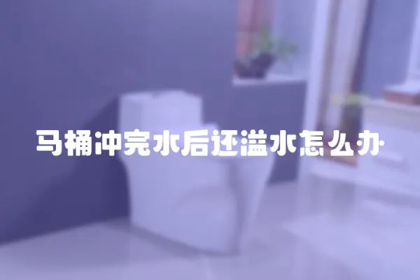 馬桶沖完水后還溢水怎么辦