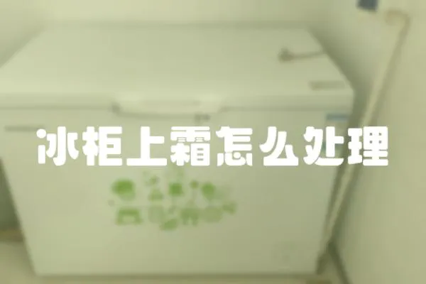 冰柜上霜怎么處理