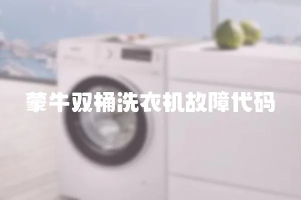蒙牛雙桶洗衣機(jī)故障代碼