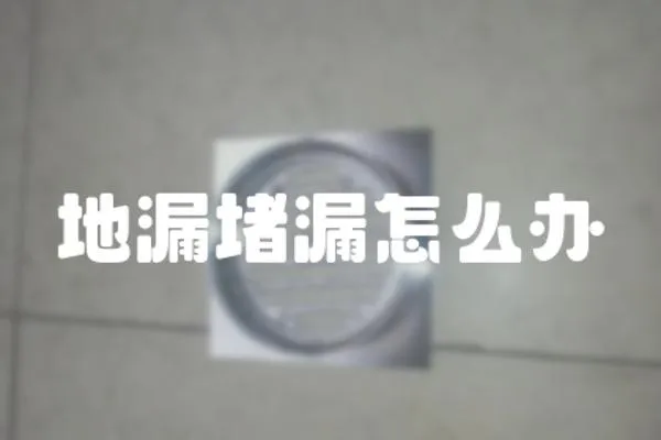 地漏堵漏怎么辦
