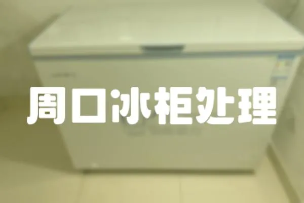 周口冰柜處理