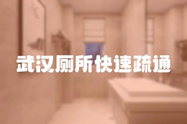 武漢廁所快速疏通