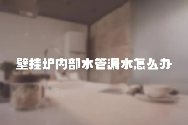 壁掛爐內部水管漏水怎么辦