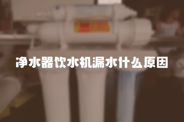 凈水器飲水機漏水什么原因