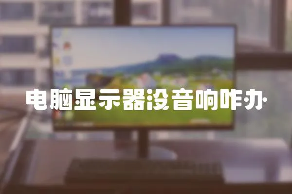 電腦顯示器沒(méi)音響咋辦