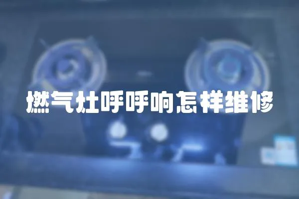 燃?xì)庠詈艉繇懺鯓泳S修