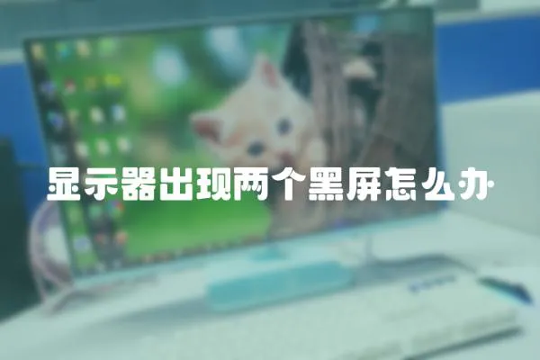 顯示器出現兩個黑屏怎么辦