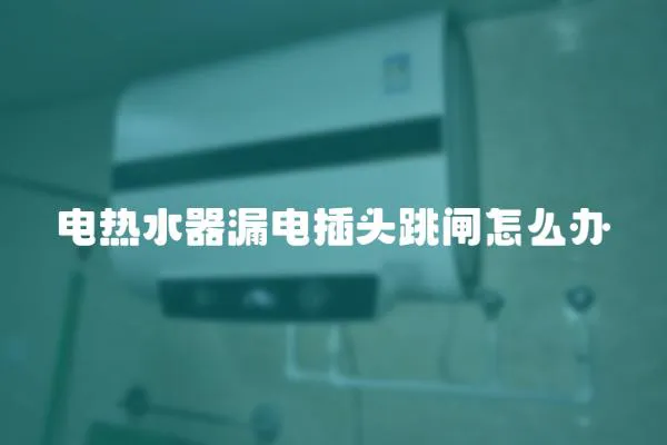 電熱水器漏電插頭跳閘怎么辦