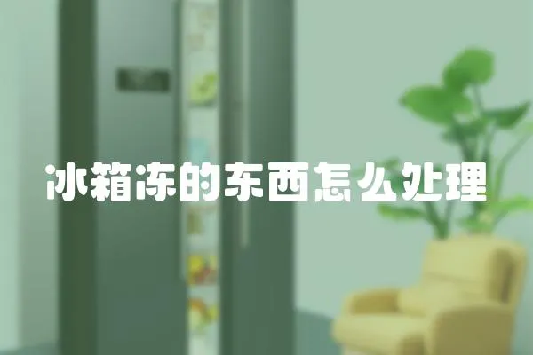 冰箱凍的東西怎么處理