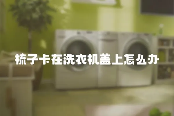 梳子卡在洗衣機蓋上怎么辦