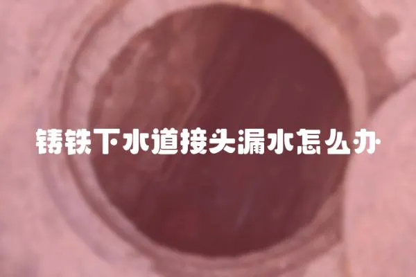 鑄鐵下水道接頭漏水怎么辦