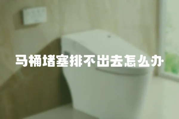 馬桶堵塞排不出去怎么辦