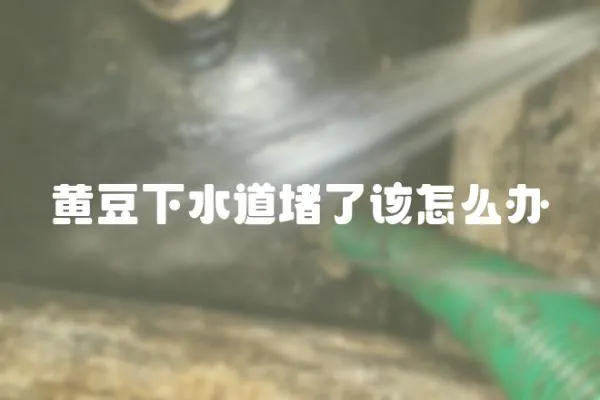 黃豆下水道堵了該怎么辦