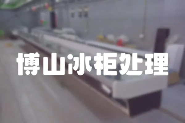 博山冰柜處理