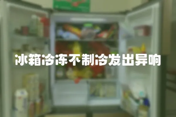 冰箱冷凍不制冷發出異響