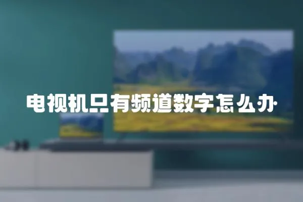 電視機只有頻道數字怎么辦