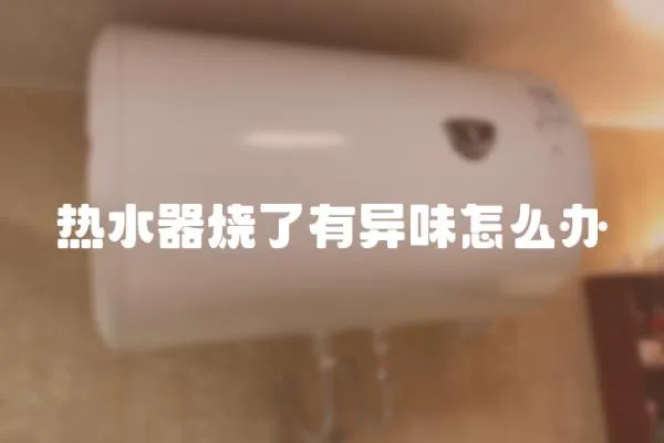 熱水器燒了有異味怎么辦