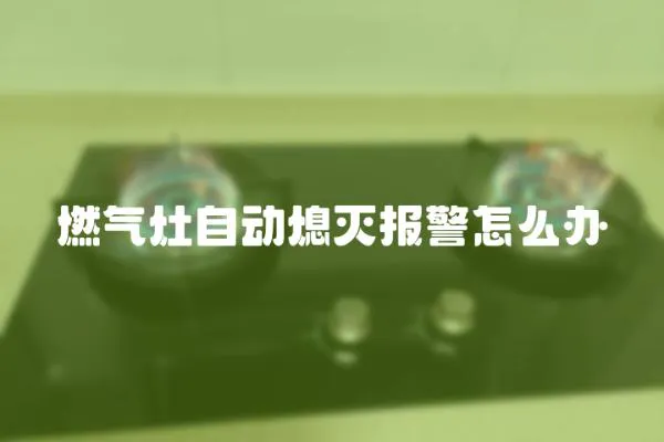燃?xì)庠钭詣?dòng)熄滅報(bào)警怎么辦