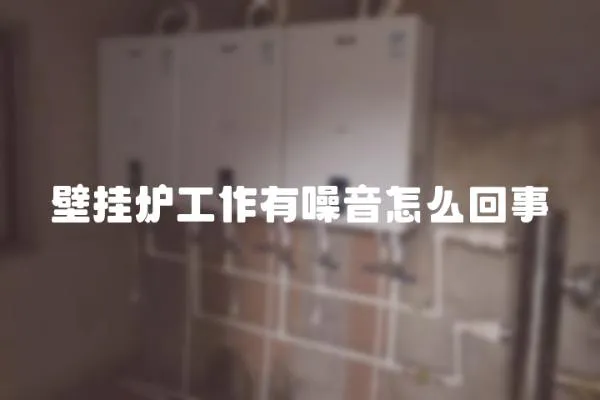 壁掛爐工作有噪音怎么回事