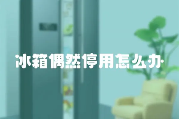 冰箱偶然停用怎么辦