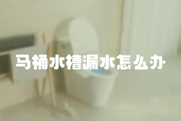馬桶水槽漏水怎么辦