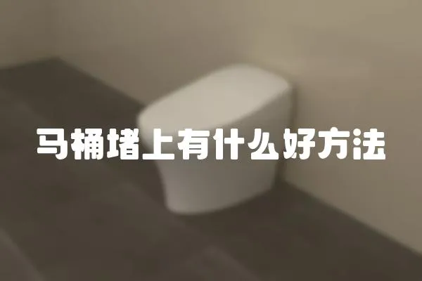 馬桶堵上有什么好方法