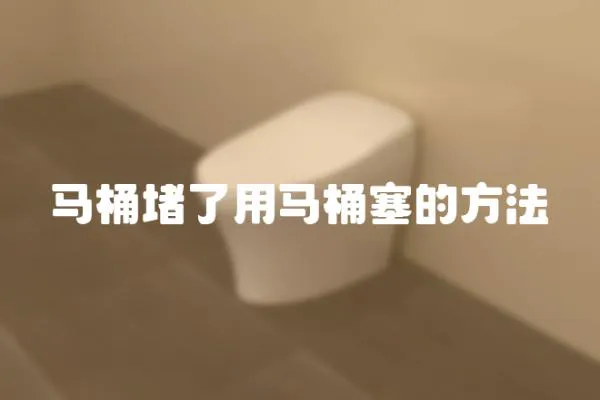 馬桶堵了用馬桶塞的方法