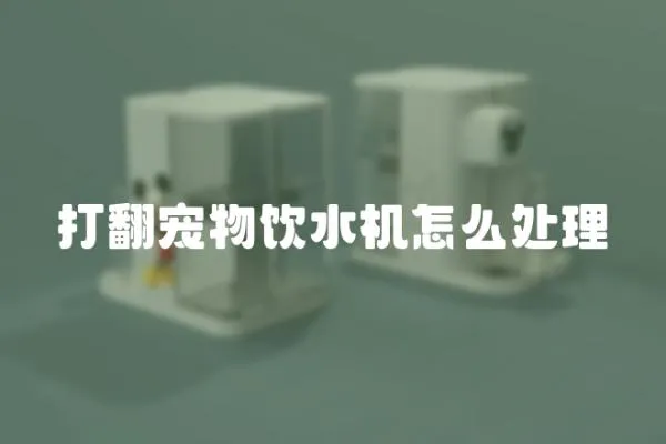 打翻寵物飲水機怎么處理