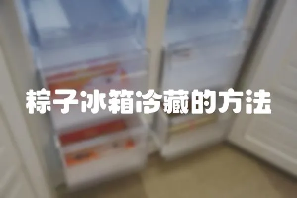 粽子冰箱冷藏的方法