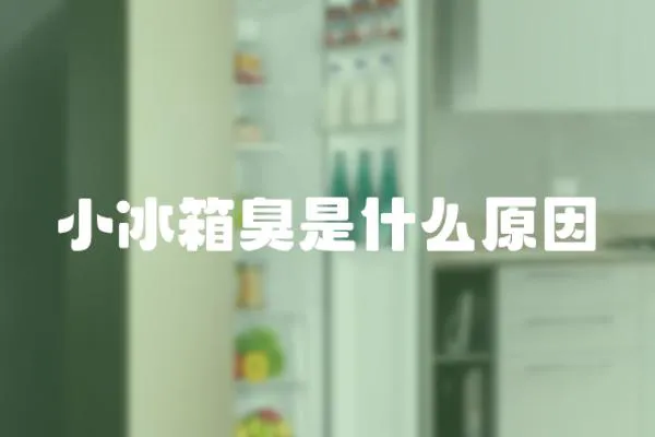 小冰箱臭是什么原因