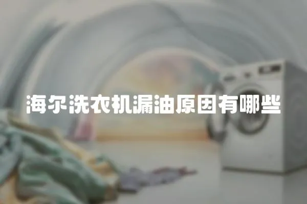 海爾洗衣機漏油原因有哪些
