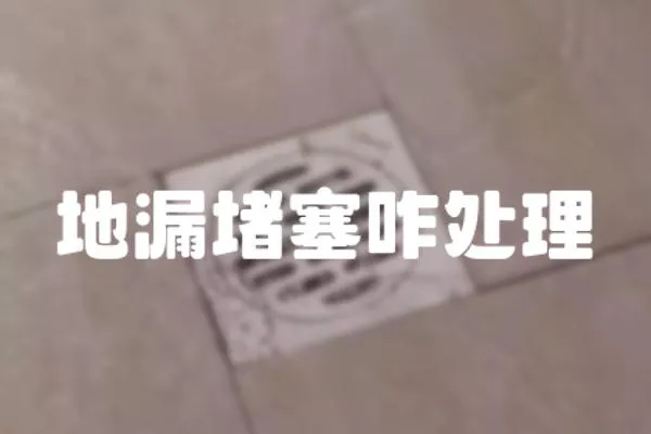 地漏堵塞咋處理