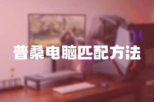 普桑電腦匹配方法