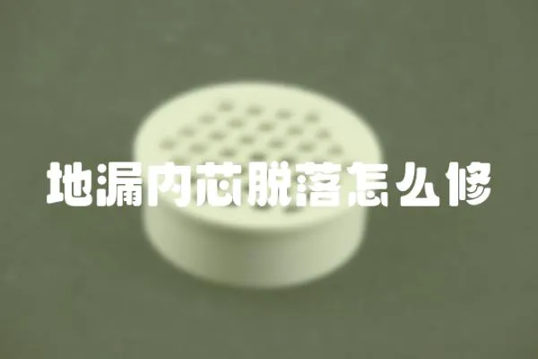 地漏內(nèi)芯脫落怎么修
