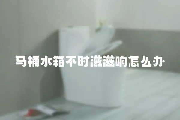 馬桶水箱不時滋滋響怎么辦