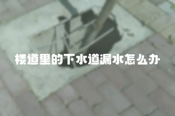 樓道里的下水道漏水怎么辦
