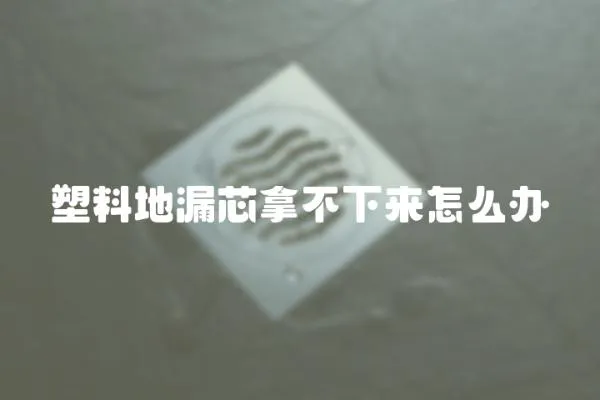塑料地漏芯拿不下來怎么辦