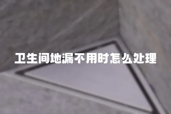 衛(wèi)生間地漏不用時(shí)怎么處理
