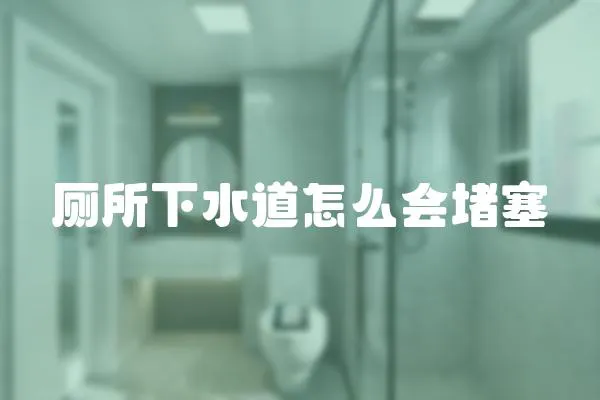 廁所下水道怎么會堵塞