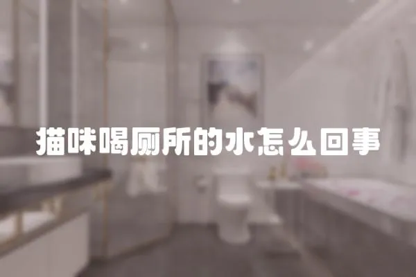 貓咪喝廁所的水怎么回事